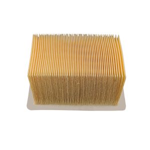 Champion Air Filter BMW R1100S 99-05